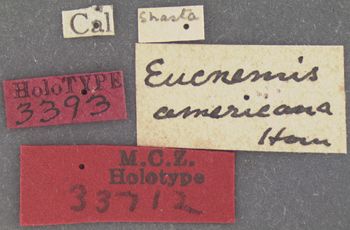 Media type: image;   Entomology 33712 Aspect: labels